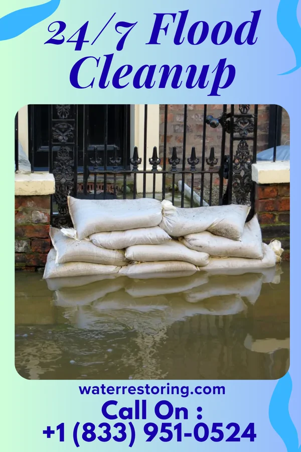 24/7 Flood Cleanup in Socorro, TX